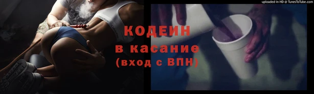 прущие грибы Алексеевка