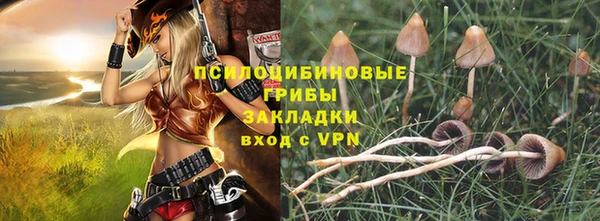 прущие грибы Алексеевка