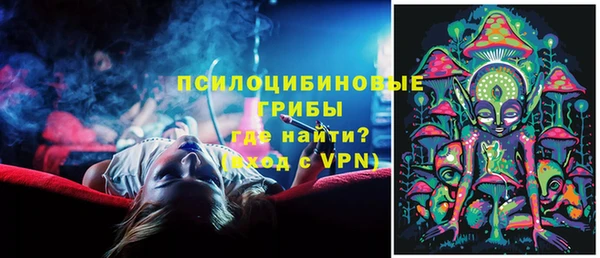 прущие грибы Алексеевка