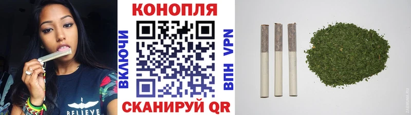 Бошки Шишки VHQ Муравленко